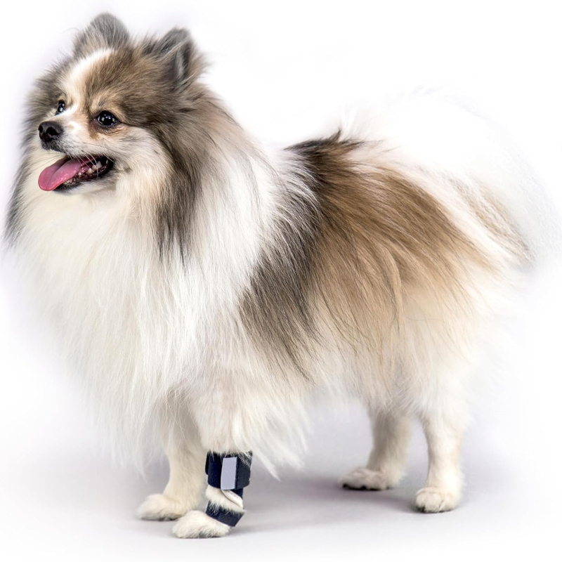 Carpal Hyperextension Dog Brac - огляд і ціна Ankle Mobility Band